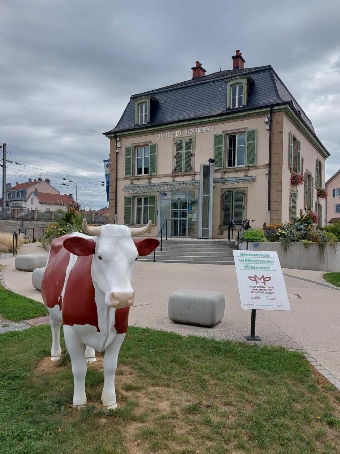 Appart' Duchatelain Lumineux, Vue Sur Chateau Montbéliard Exteriér fotografie